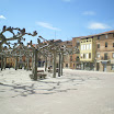 IMGP2160.JPG