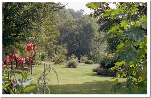 Hameau de LANNES, chez Vincent & Nadya: le jardin