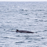 IMG_8744.jpg