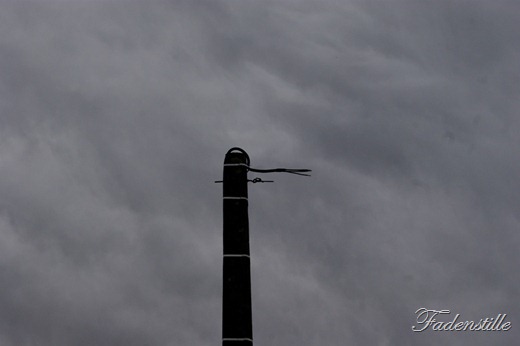 SONY DSC