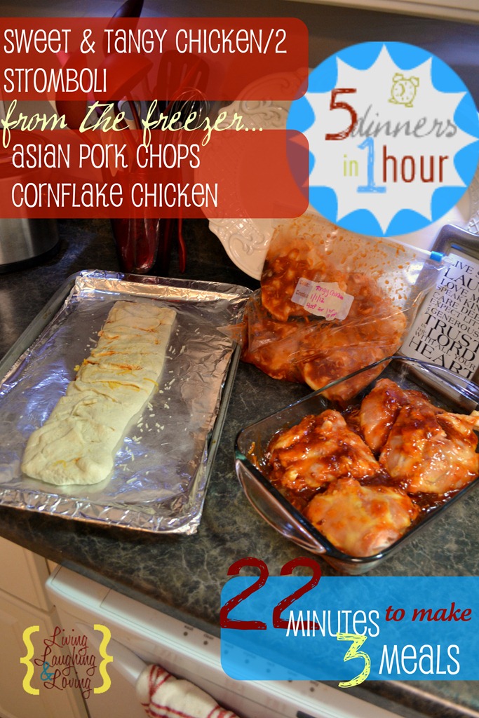 [DSC_0019%25202%255B5%255D.jpg]