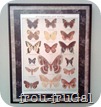 Botanical Prints
