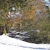 2011-12 First Winter Storm 1040.jpg
