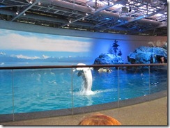 Shedd Aquarium 031