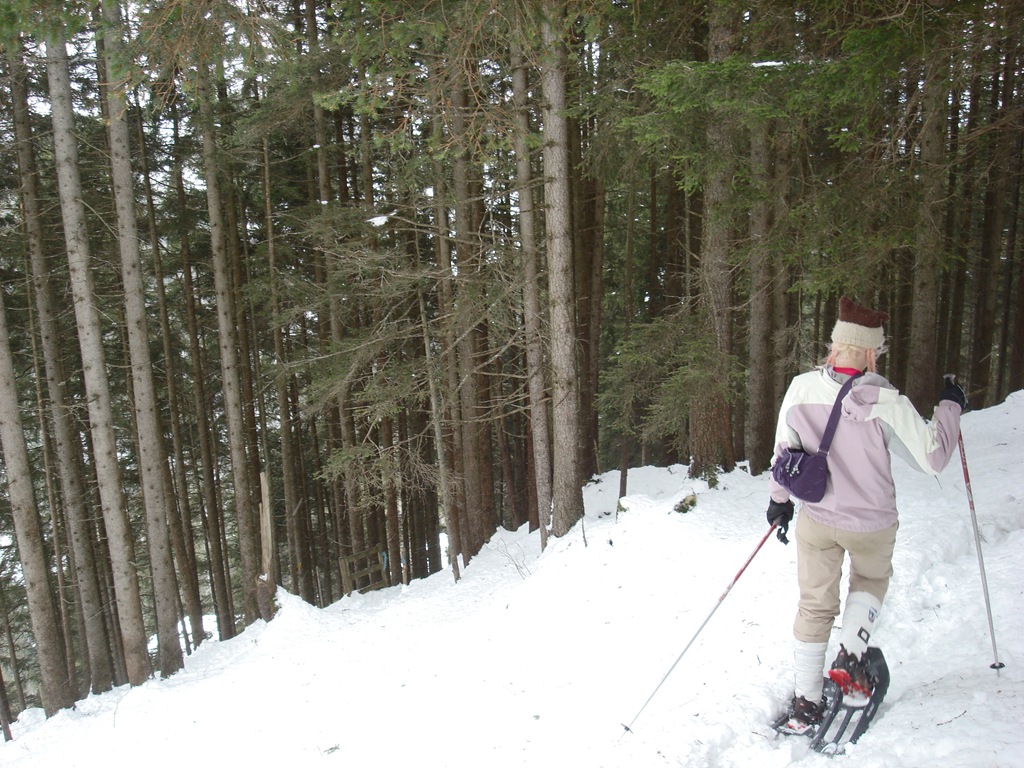 [DSC00797.jpg]