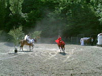 PICT0378.JPG