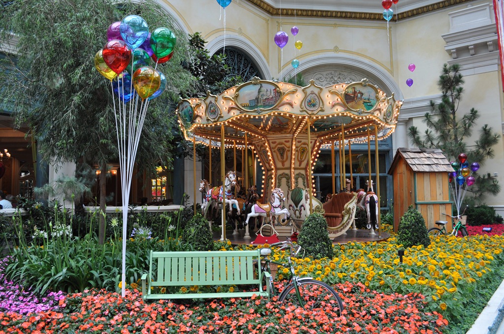 [DSC_8094%255B4%255D.jpg]