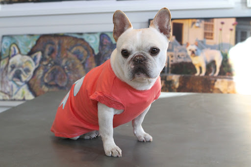 This is called the Seersucker Bow Tee and it is very soft and comfy.