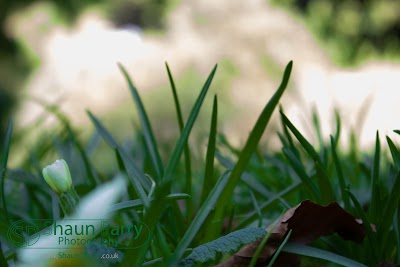 Glendurgan Garden-5.jpg