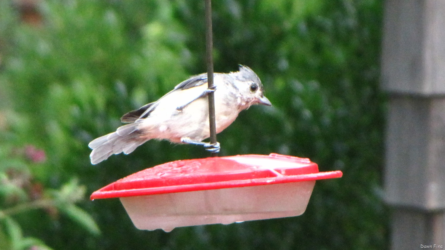 [Wellfleet-Audubon_0088.jpg]