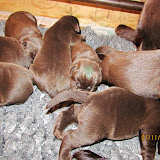 IMG_1162.JPG
