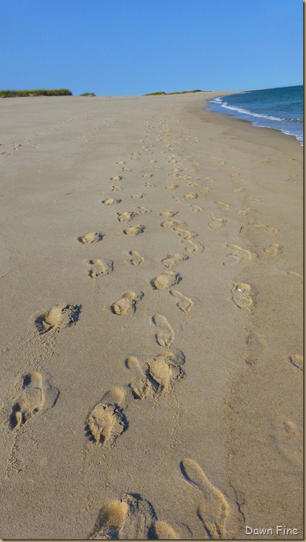 cape cod_007