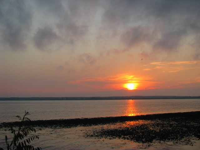 [IMG_1352%255B3%255D.jpg]