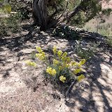 DSC00100.JPG