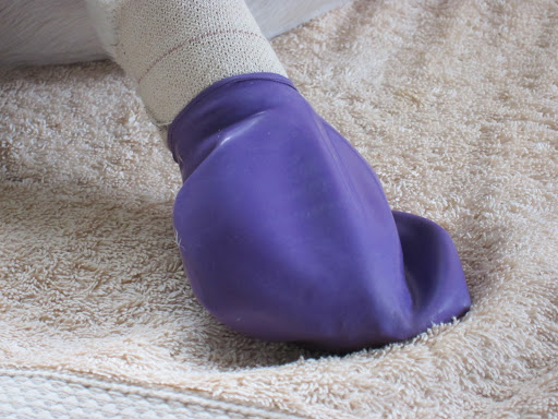 I have this special latex bootie that covers my bandage so it won't get wet outside!  Let's try it out!
