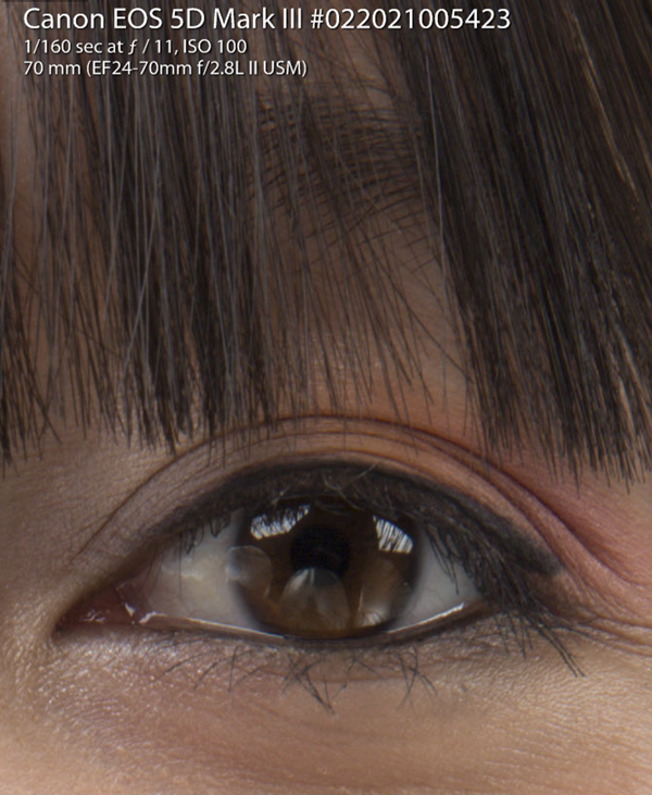 5D Mark III - Hair and Eyes at 100% Actual Size (from RAW)