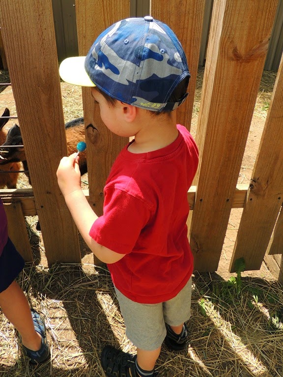 [DSCN8951%255B3%255D.jpg]