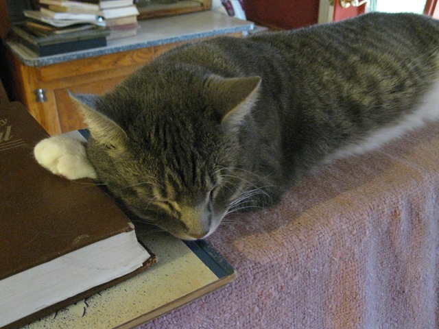 [IMG_5851%255B2%255D.jpg]