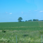 Back on the road.