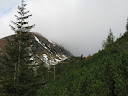 IMG_1222.jpg