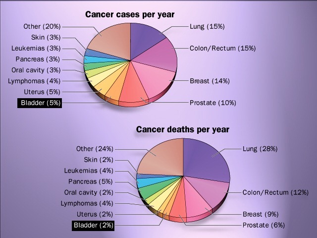 [Cancer%2520cases%2520%2526%2520death%2520per%2520year%255B2%255D.jpg]