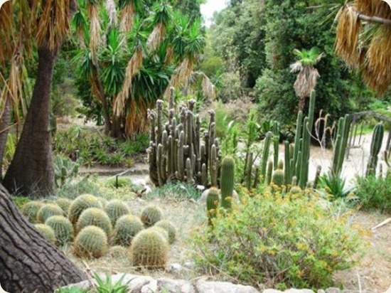 Botanical Gardens Hanbury3 Giardini botanici Hanbury3