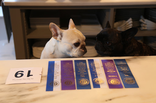 Wow, Franny!  Look at all of the ribbons G.K. won!  What a champion!