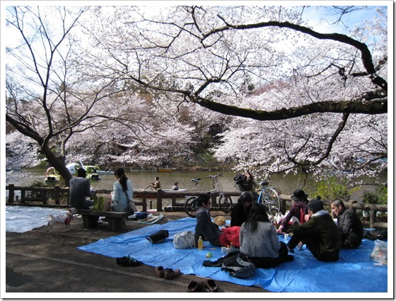 井之頭公園1