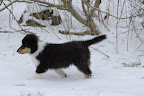 _DSC0011.JPG