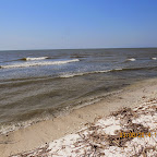 IMG_5673.JPG