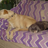Sam and Grace