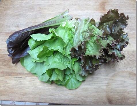 Assorted lettuces