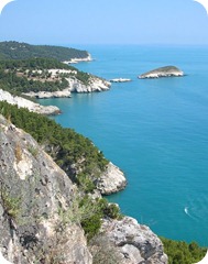 IL Gargano, un viaggio alla scoperta di un promontorio a strapiombo sull’Adriatico meridionale, con monti rocciosi e baie incantate.