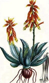 [clip_image003%255B6%255D%255B2%255D.gif]