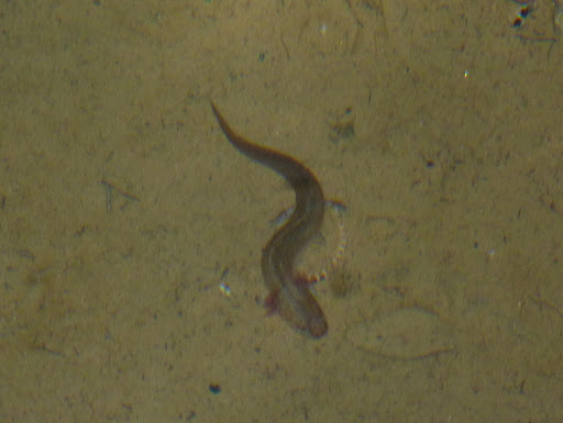 P1120418