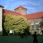 17.jpg 17.jpg