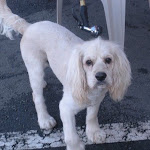 DSCN4657.jpg