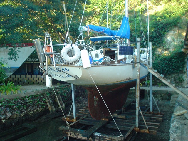 [pelican26.jpg]