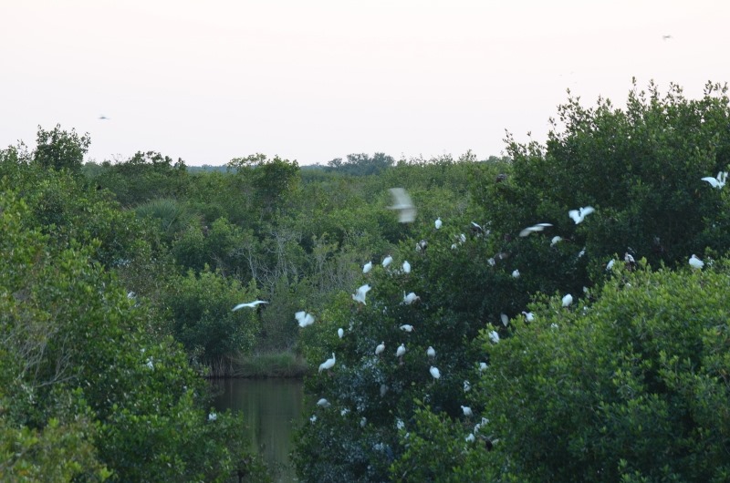 [DSC_8454%2520%2528800x530%2529%255B8%255D.jpg]