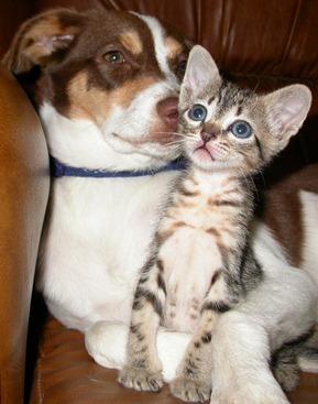 [DSCN5091%255B13%255D.jpg]