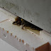 dn-hive-letok.jpg