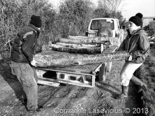 Indestructable spirit of the wwoofer article - photo 2 small b&w Indestructable spirit of the wwoofer article - photo 2 small b&w