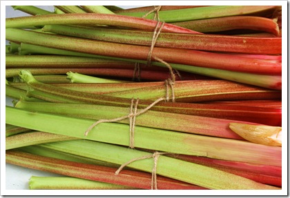 rhubarb tousey
