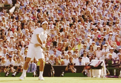 [wimbledon%25202007%2520championship%2520point%255B3%255D.gif]
