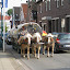 2010 - Nachmittag beim Integrationskönig