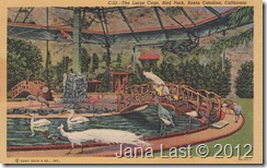 The Large Cage Bird Park, Santa Catalina, California pg. 1