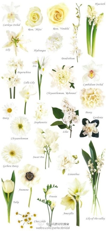 [Know%2520Your%2520Flowers%25207%255B4%255D.jpg]