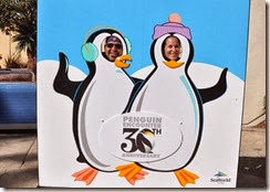 Sea world San Diego Penguins 2