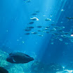me and B trip to boston and ga aquarium 124.JPG