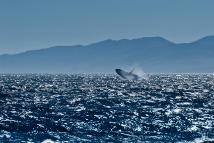 [Dia%2520del%2520oceano2%255B5%255D.jpg]